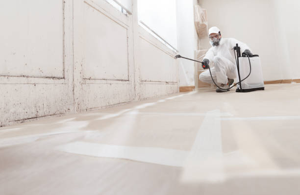 24/7 Emergency Mold Removal experts in Norwood, PA